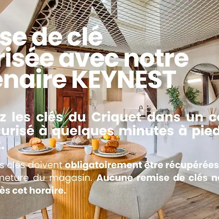 Apartamento Le Criquet - Hypercentre - Filet De Détente